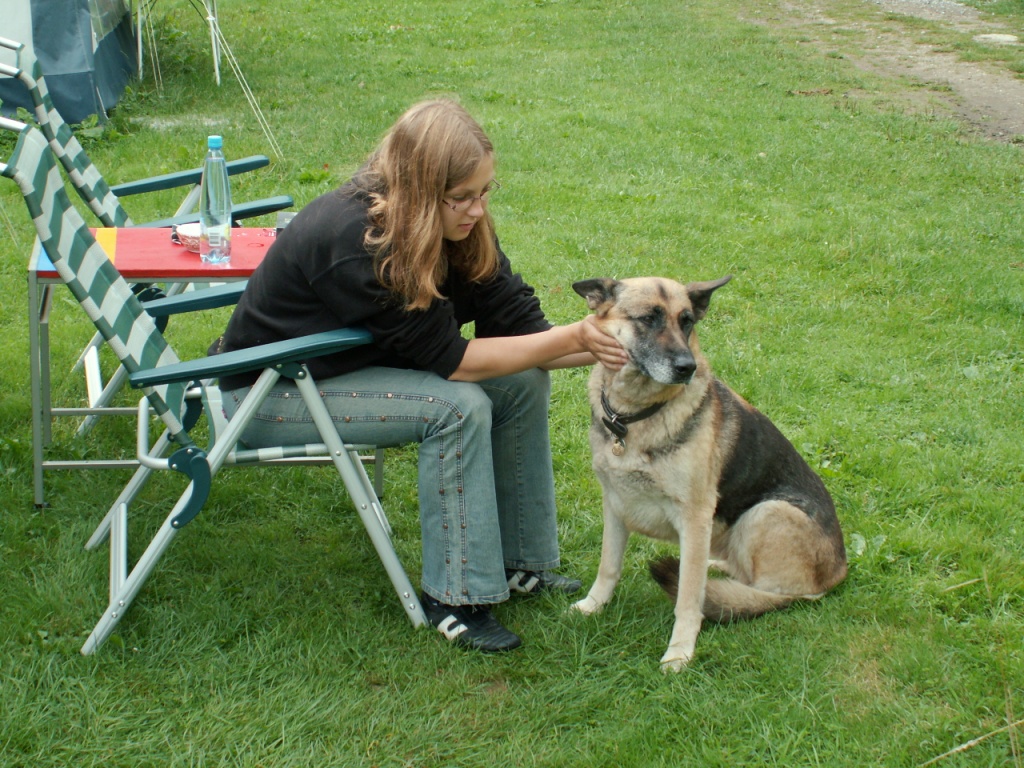 Rapporto tra animali e condominio: una convivenza possibile