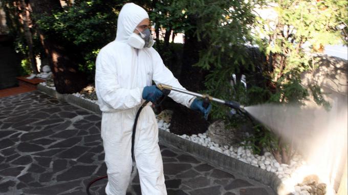 disinfestazione in condominio